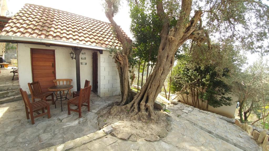 Villa Diamond Žrnovnica المظهر الخارجي الصورة
